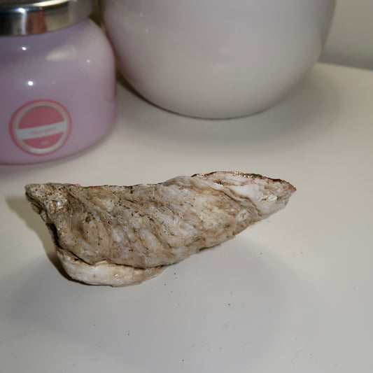Palm Spring Oyster Shell Ring Dish No.3
