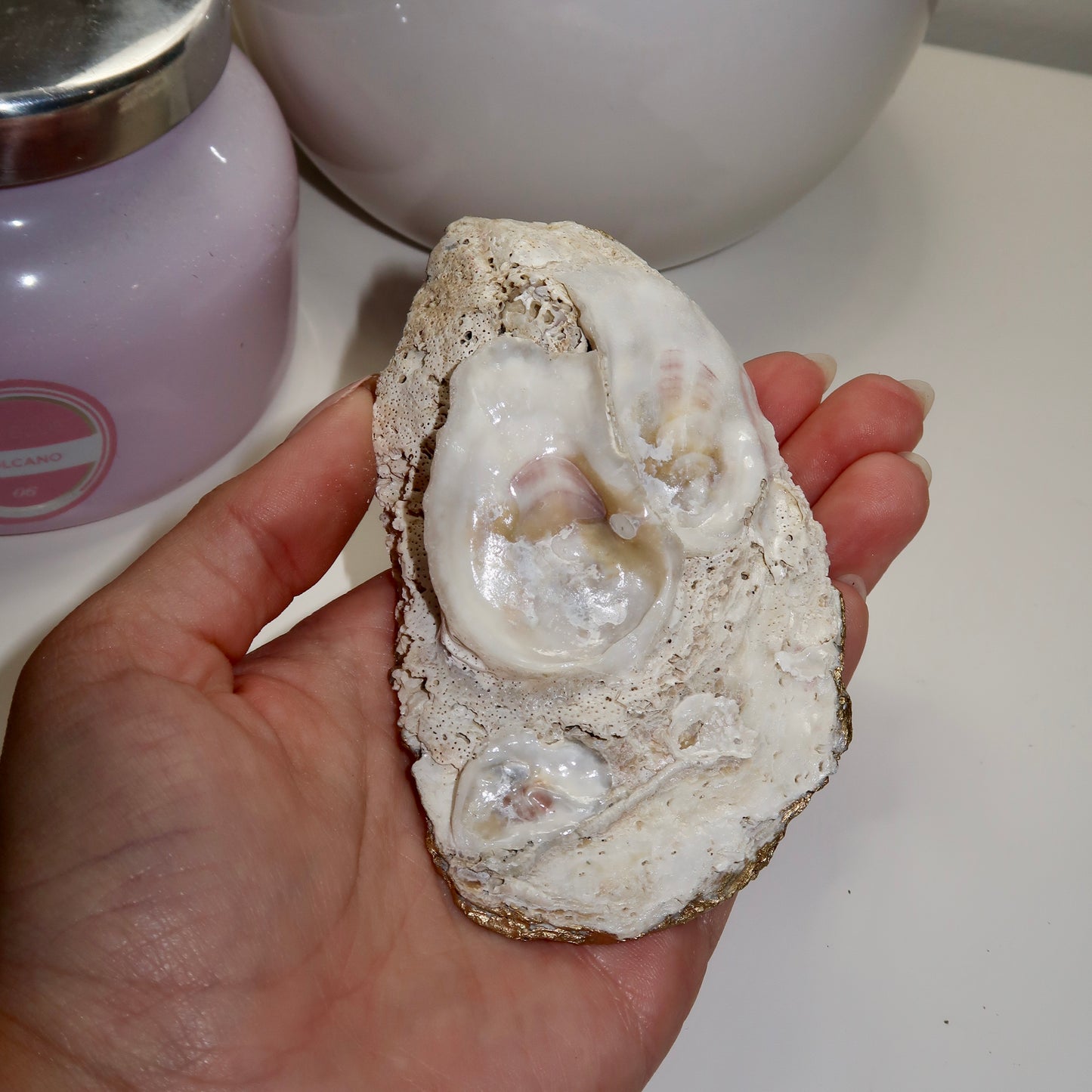 Coastal China Oyster Shell Ring Dish