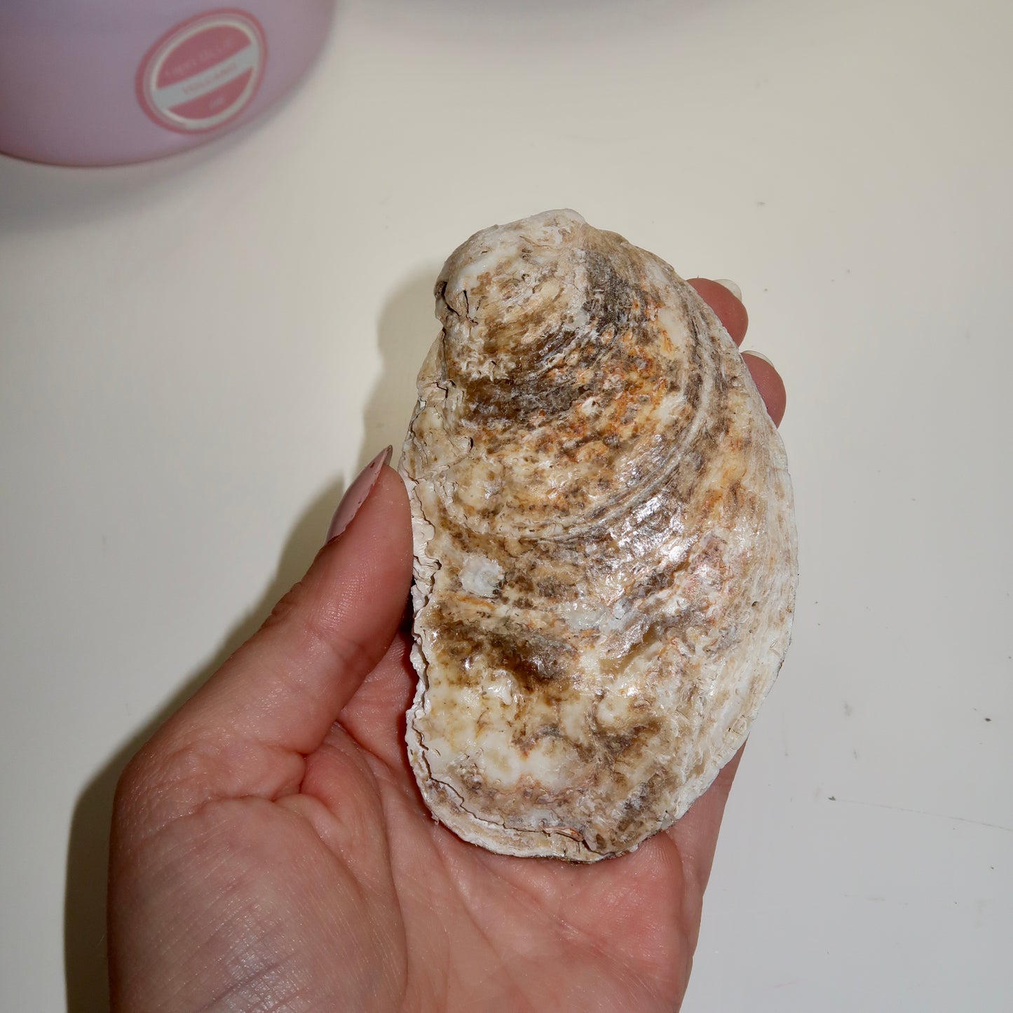 Lavender Glass Oyster Shell Ring Dish