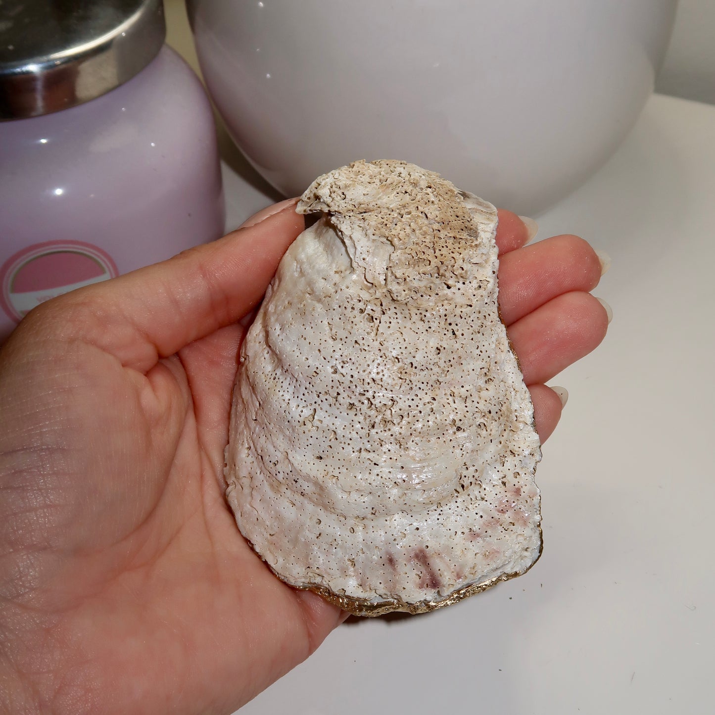 Indigo Current Oyster Shell Ring Dish No.2