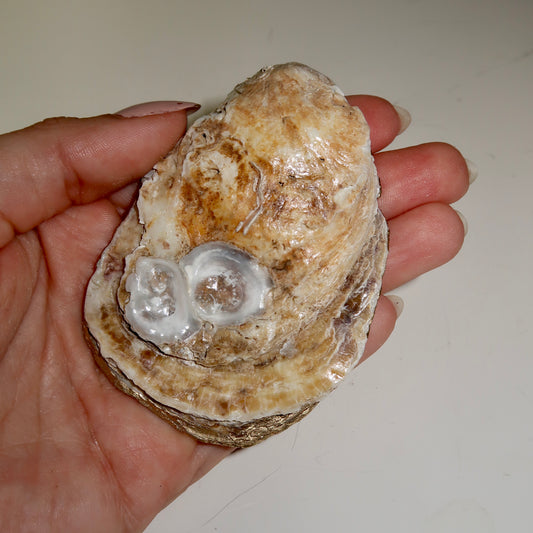 Pink Pebble Oyster Shell Ring Dish