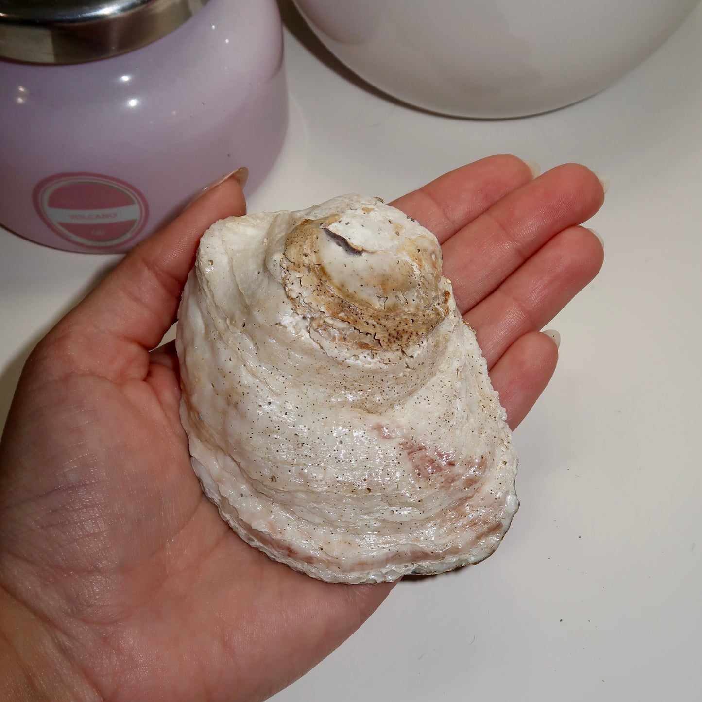 Blue Floral Oyster Ring Dish